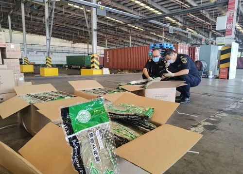 《中华人民共和国进出口食品安全管理办法》解读与工程管理咨询的协同应用